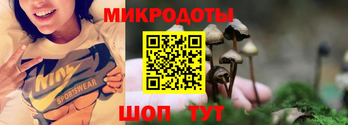 Псилоцибиновые грибы MAGIC MUSHROOMS  Псилоцибиновые грибы MAGIC MUSHROOMS  как найти   Кандалакша  Вход с VPN 
